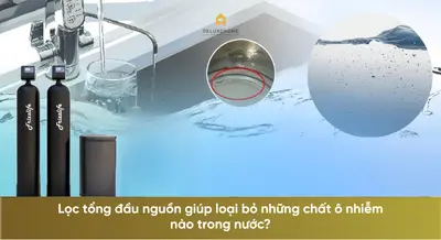 Lọc tổng đầu nguồn giúp loại bỏ những chất ô nhiễm nào trong nước?