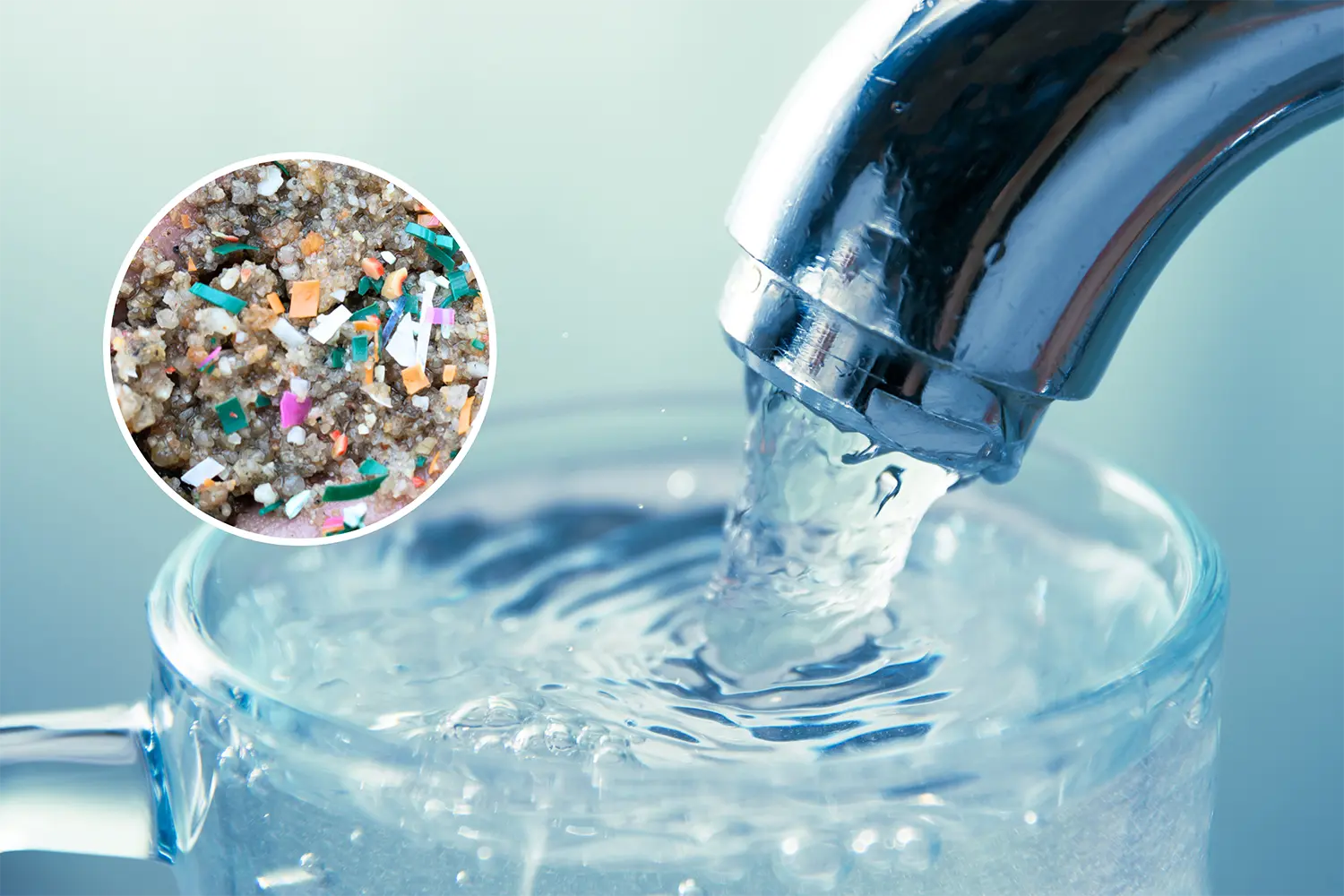 Gây Rối Loạn Nội Tiết Và Độc Tính Tế Bào