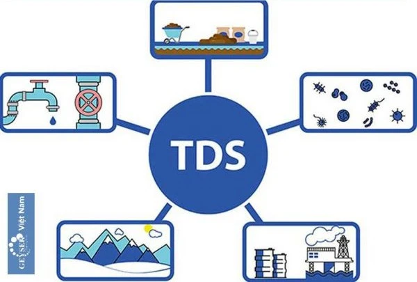 TDS là gì?