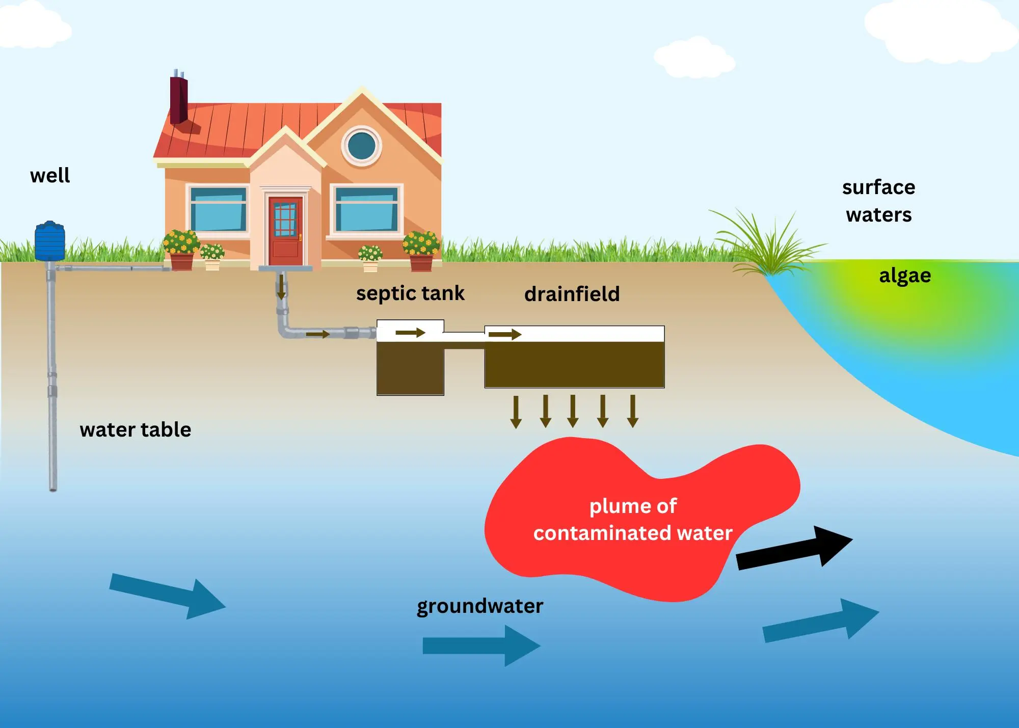 Vi khuẩn Coliform xâm nhập nguồn nước ngầm