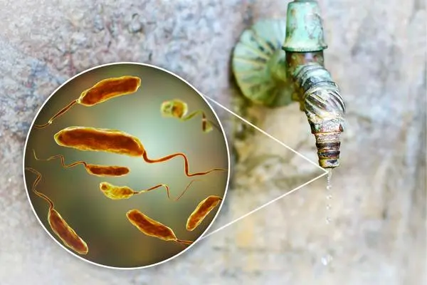 Minh họa mối quan hệ giữa Coliform và E.coli