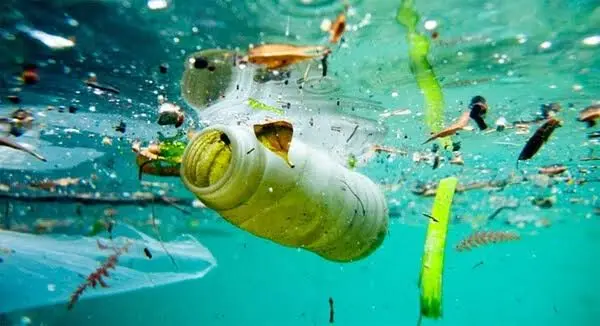 Nước nhiễm vi sinh có thể gây bệnh đường tiêu hóa và ảnh hưởng sức khỏe