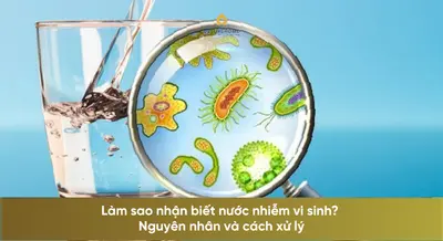 Làm sao nhận biết nước nhiễm vi sinh? Nguyên nhân và cách xử lý