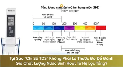 Tại Sao 