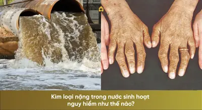 Kim loại nặng trong nước sinh hoạt nguy hiểm như thế nào?