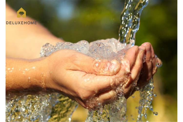 máy lọc tổng Frizzlife