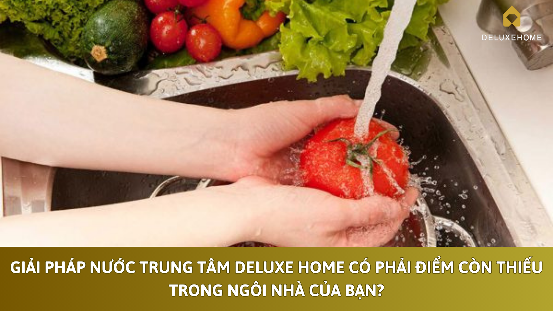 Giải pháp nước trung tâm Deluxe Home có phải điểm còn thiếu trong ngôi nhà của bạn?