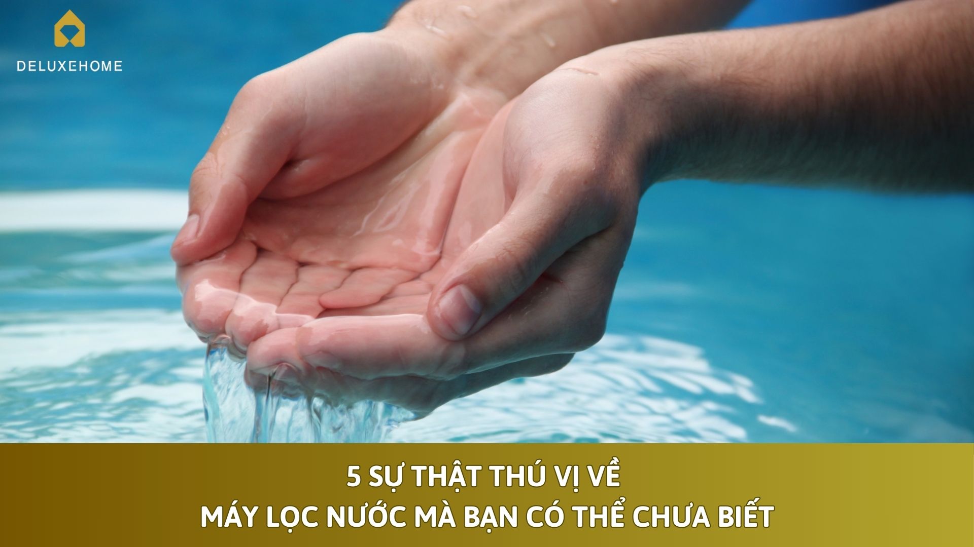 5 sự thật thú vị về máy lọc nước mà bạn có thể chưa biết