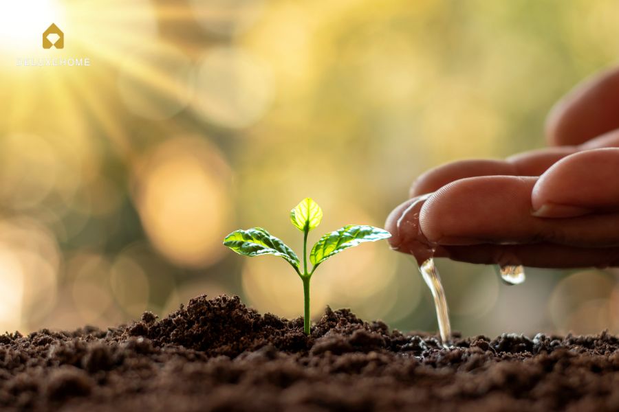 tiết kiệm nước