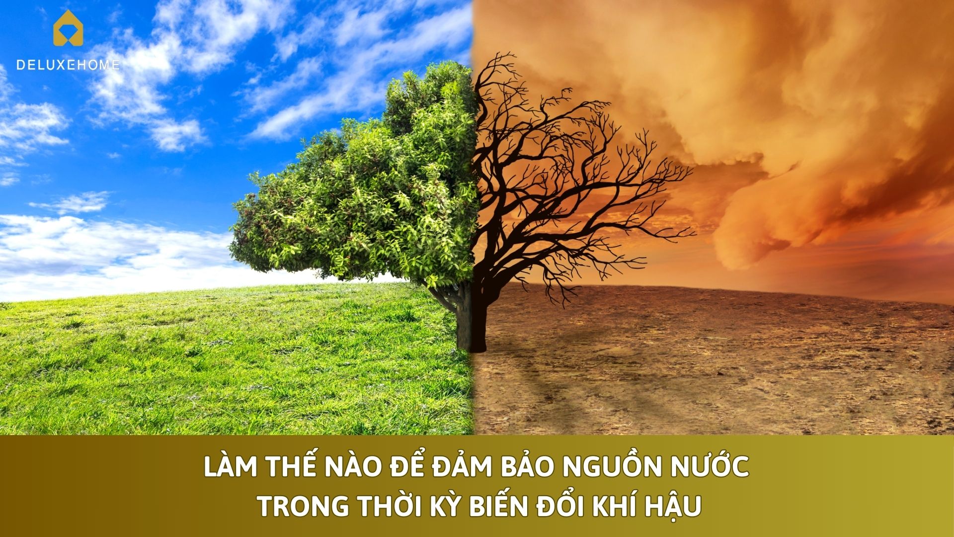 Làm Thế Nào Để Đảm Bảo Nguồn Nước Trong Thời Kỳ Biến Đổi Khí Hậu
