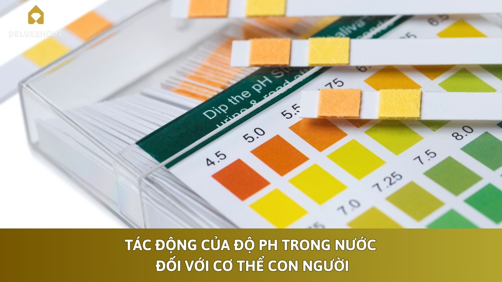 Tác Động Của Độ pH Trong Nước Đối Với Cơ Thể Con Người