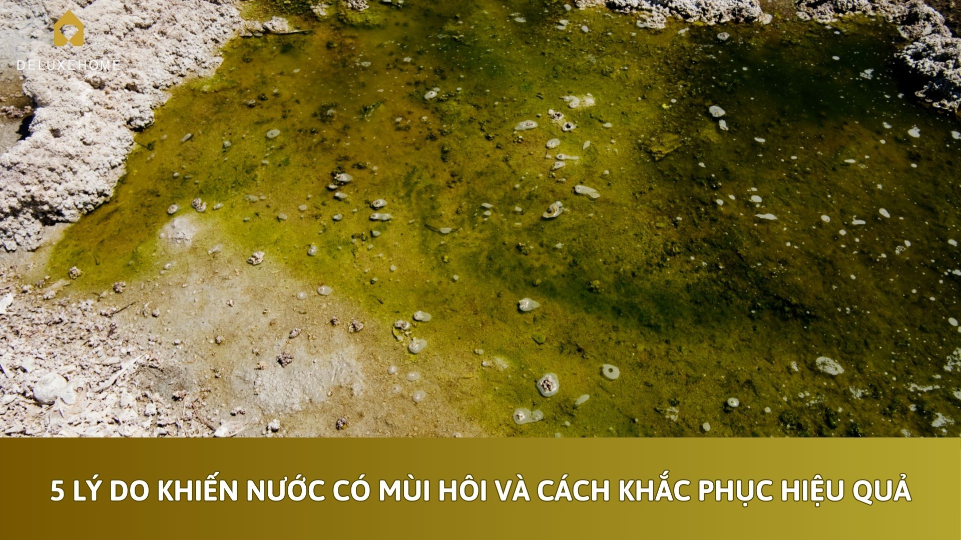 5 Lý Do Khiến Nước Có Mùi Hôi Và Cách Khắc Phục Hiệu Quả