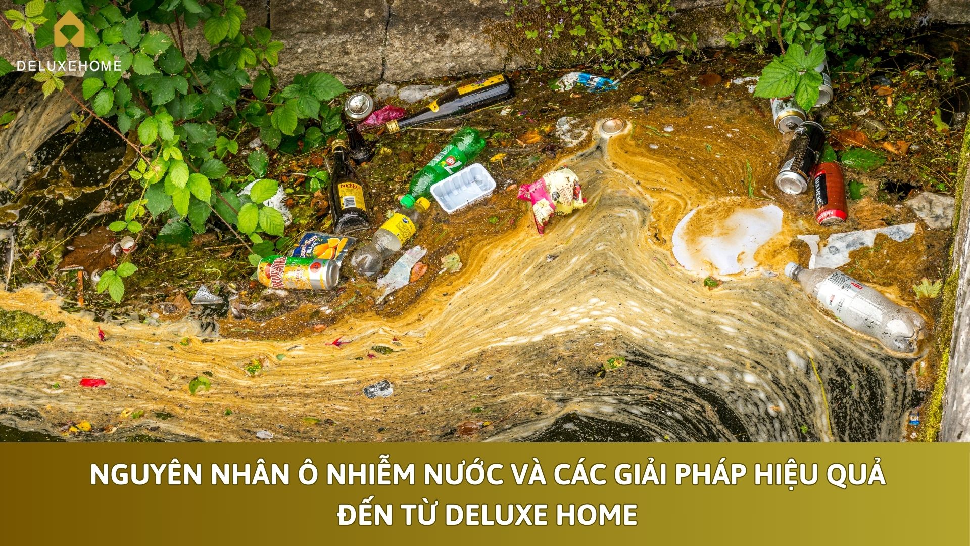 Nguyên Nhân Ô Nhiễm Nước Và Các Giải Pháp Hiệu Quả Đến Từ Deluxe Home