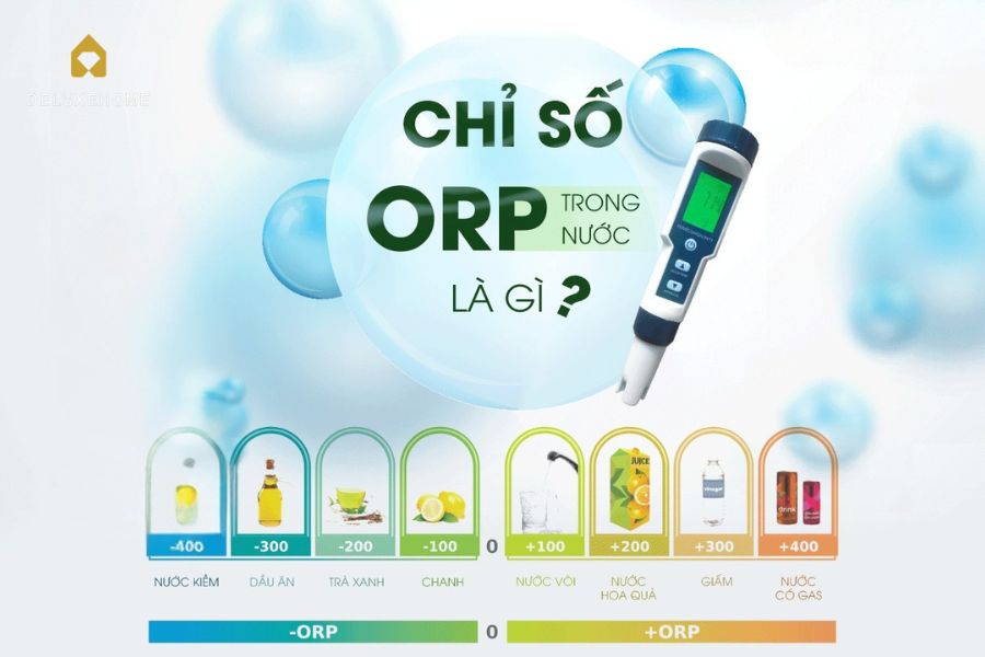 chỉ số orp