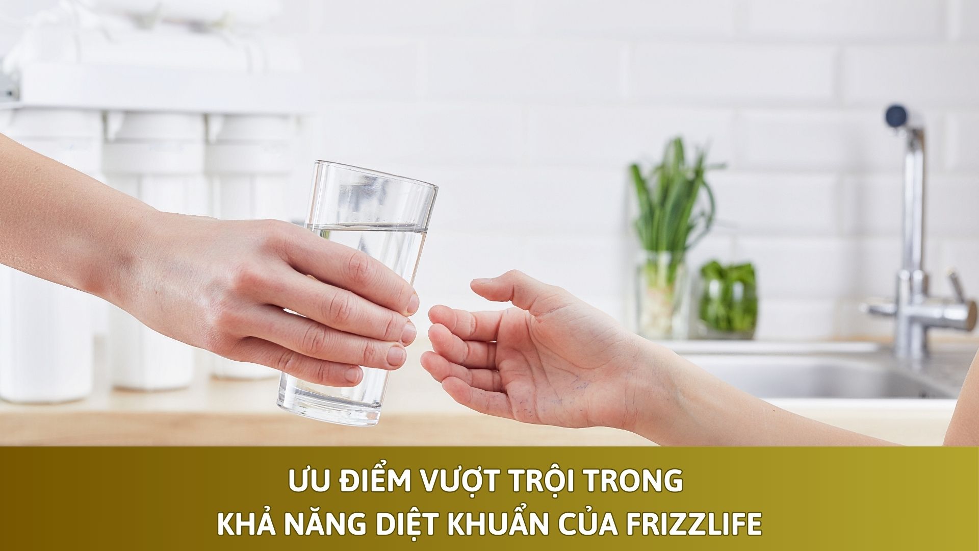 Ưu điểm vượt trội trong khả năng diệt khuẩn của Frizzlife