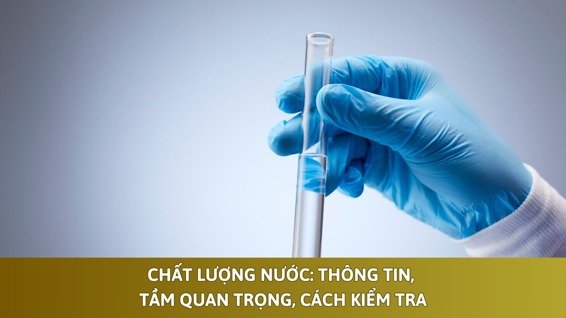 Chất Lượng Nước: Thông Tin, Tầm Quan Trọng, Cách Kiểm Tra