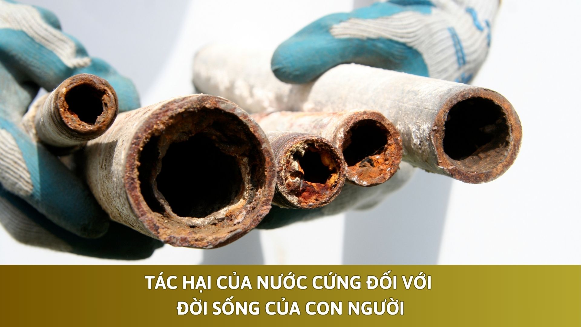 Tác Hại Của Nước Cứng Đối Với Đời Sống Của Con Người