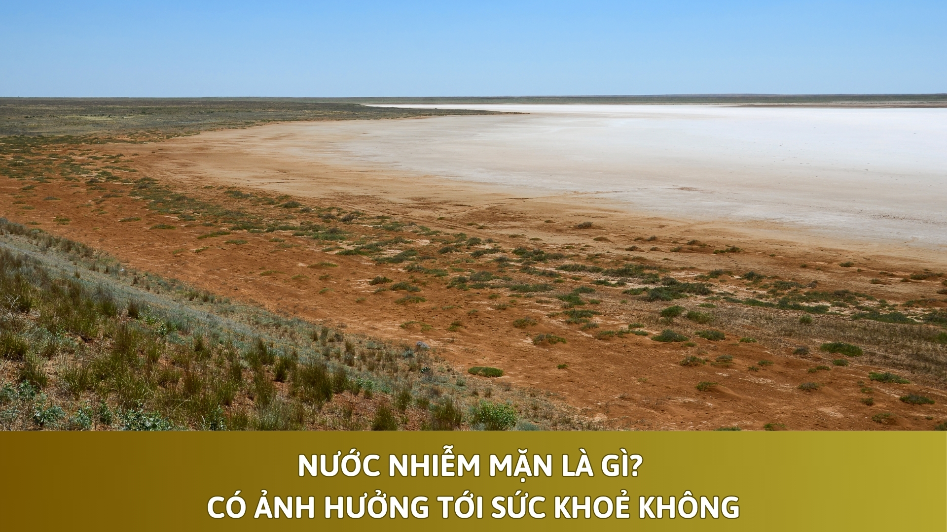 Nước nhiễm mặn là gì? Có ảnh hưởng tới sức khoẻ không