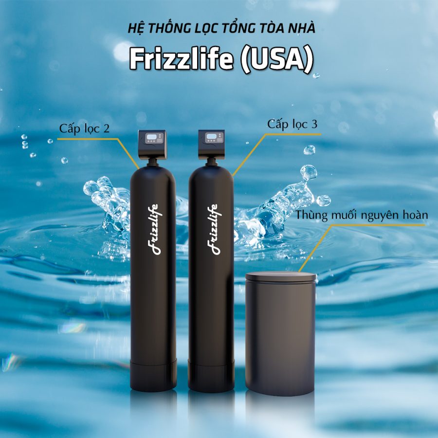 máy lọc tổng đầu nguồn tốt, Giải pháp lọc tổng Frizzlife