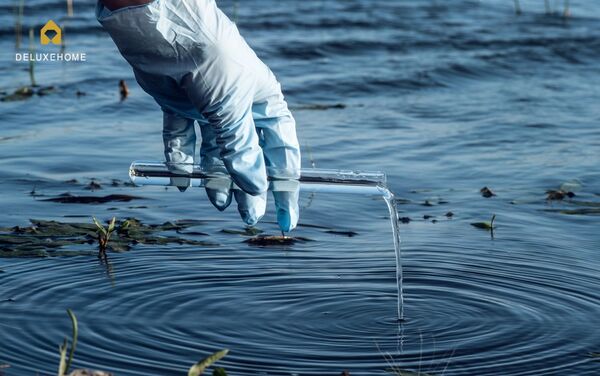 ô nhiễm nguồn nước