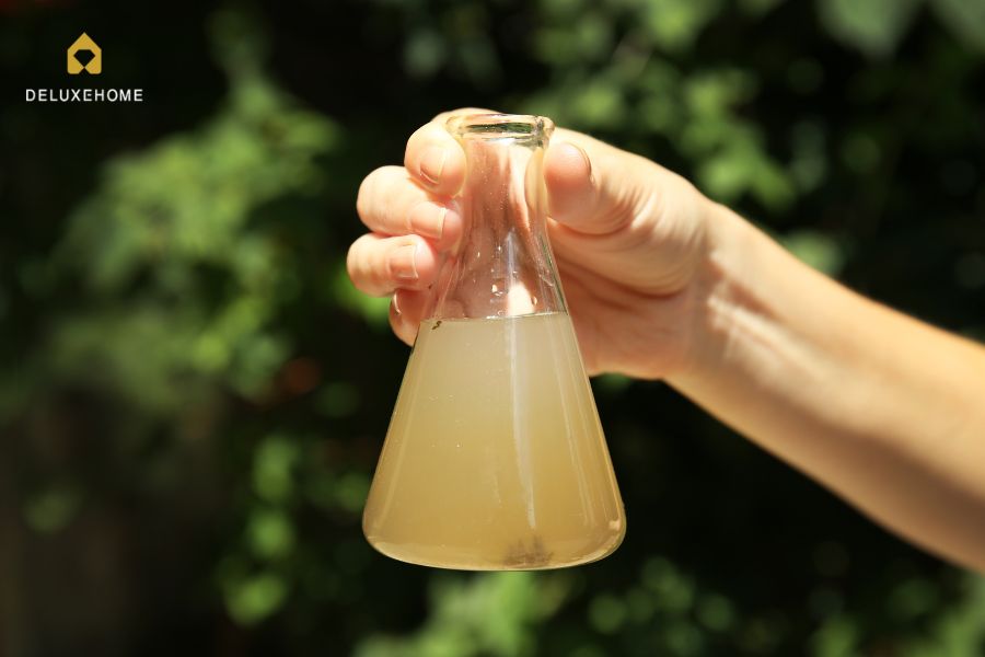 Nước Có Mùi Hôi